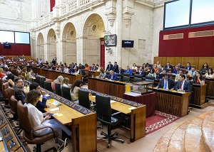 El Pleno del Parlamento se dispone a votar las propuestas para la Direccin General y el Consejo de Administracin de la RTVA y el Consejo Audiovisual de Andaluca 