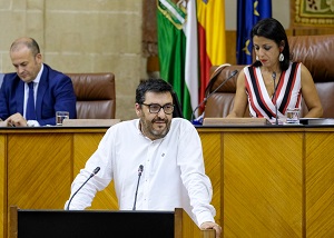  El diputado del Grupo Adelante Andaluca Guzmn Ahumada interviene ante el Pleno