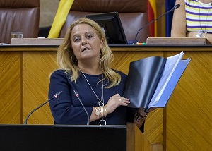   ngela Hidalgo, del Grupo Popular, presenta al Pleno una proposicin no de ley de apoyo contra la supresin del tren Talgo Granada-Madrid con parada en Estacin Linares-Baeza
