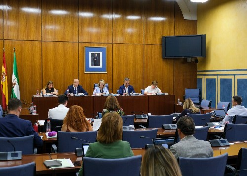  La Mesa de la Comisin sobre la Discapacidad en Andaluca durante la comparecencia del consejero de Educacin y Deporte