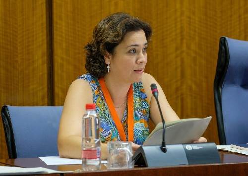 Marina Ruiz, representante de la AMPA del Centro Educativo Ciudad San Juan de Dios de Alcal de Guadaira, interviene en la comisin de Discapacidad  