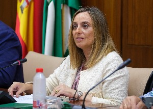  Mara Francisca Carazo, consejera de Fomento, Infraestructuras y Ordenacin del Territorio, comparece ante la comisin del sector