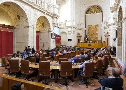  El Pleno del Parlamento se dispone a comenzar el debate final del proyecto de Ley del Presupuesto de la Comunidad Autnoma de Andaluca para 2019