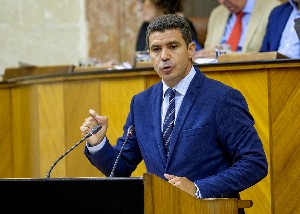 Sergio Romero, portavoz del Grupo Ciudadanos, interviene en el debate presupuestario 