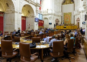 El Pleno del Parlamento, al comienzo de la segunda jornada del debate final del proyecto de Ley de Presupuesto de la Comunidad Autnoma para 2019
