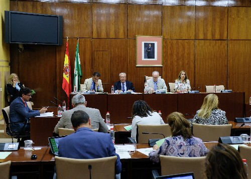 Vista general de la Mesa y diputados de la Comisin de Asuntos Europeos durante la intervencin del consejero de Economa