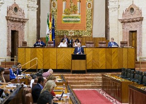  Juan Pablo Durn, del Grupo parlamentario Socialista, presenta una mocin ante el Pleno