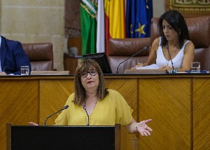  La diputada del Grupo Socialista Soledad Prez interpela a la consejera de Igualdad en el Pleno