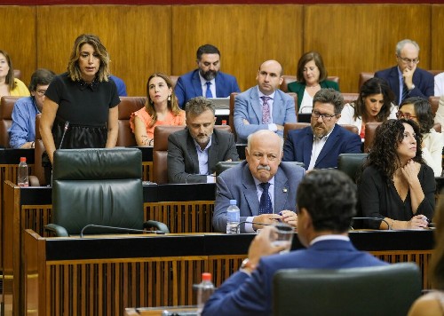 Susana Daz formula su pregunta al presidente de la Junta durante la sesin de control 