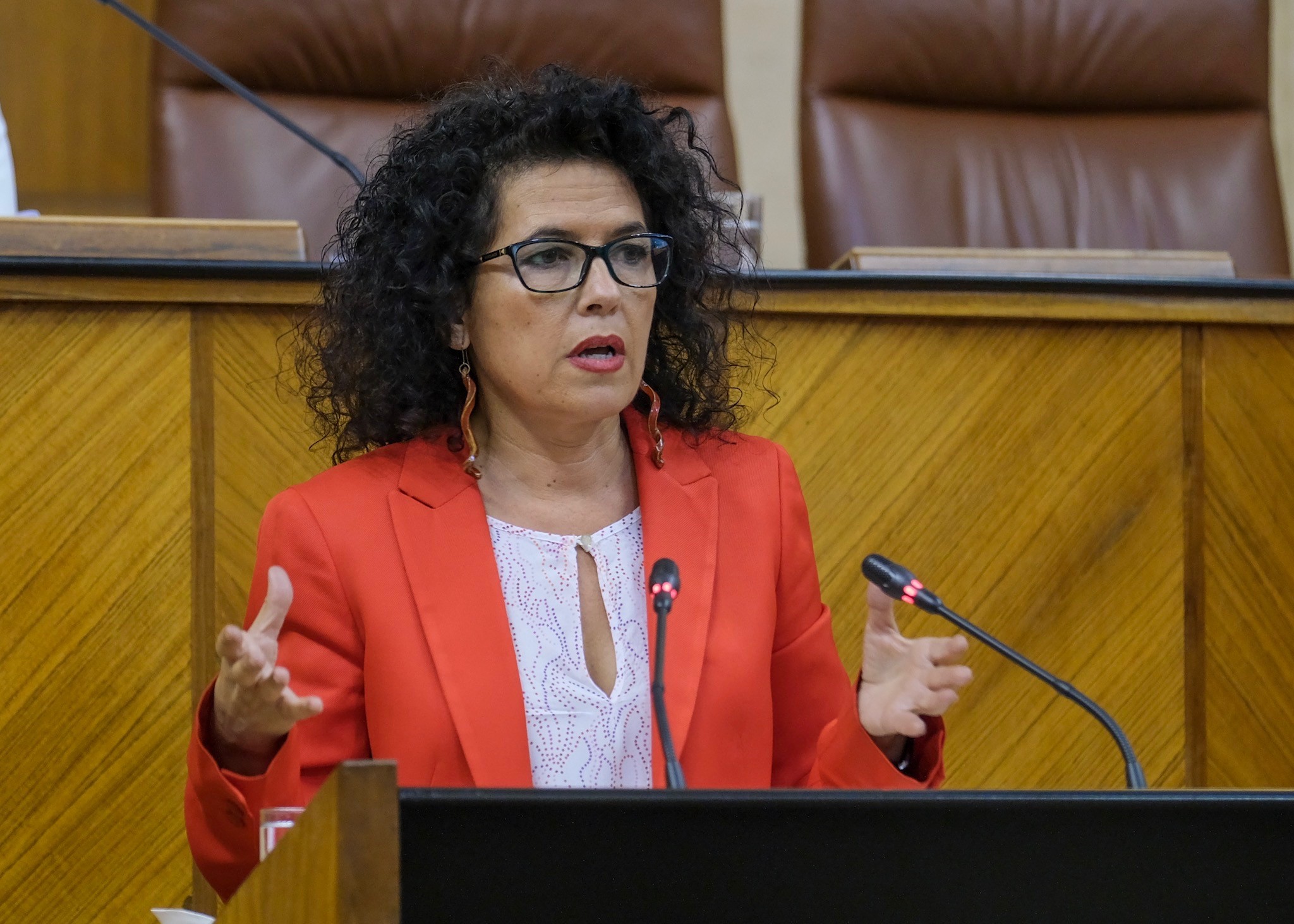  Mara Isabel Mora, del Grupo Adelante Andaluca, presenta una proposicin no de ley ante el Pleno