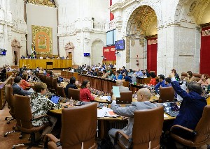  El Pleno del Parlamento, durante la votacin de una de las proposiciones no de ley