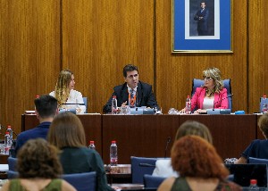  La Comisin sobre la Discapacidad en Andaluca asiste a la comparecencia de un representante de la entidad Down Andaluca