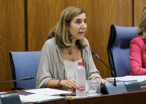 La consejera de Empleo, Roco Blanco, informa en la Comisin sobre la Discapacidad en Andaluca 