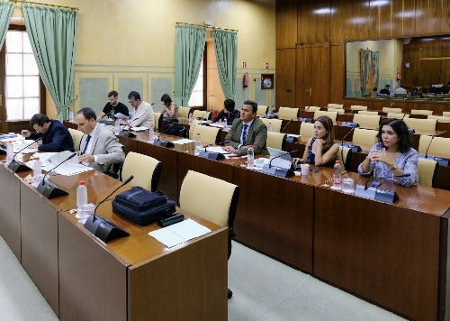  Diputados de la Comisin de control de la RTVA asisten a la comparecencia del director general 