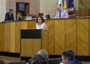  Ana Naranjo, del Grupo Adelante Andaluca, interviene ante el Pleno
