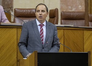  Francisco Jos Ocaa, del Grupo parlamentario Vox
