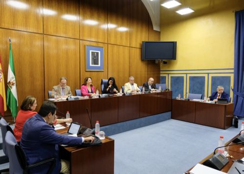  Carmen Crespo interviene en la Comisin para explicar los presupuestos de su Consejera