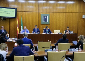  El vicepresidente y consejero de Turismo, Regeneracin, Administracin Local y Justicia, Juan Marn, presenta en comisin el proyecto de Presupuesto para 2020 relativo a su departamento