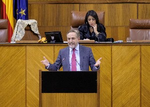  El diputado del Grupo Socialista Felipe Lpez interviene en el Pleno