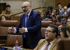  Alejandro Hernndez, portavoz del Grupo parlamentario Vox, se dirige al presidente de la Junta de Andaluca