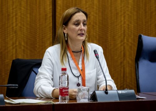  Roco Prez, presidenta de Andaluca Inclusiva, comparece ante la Comisin sobre la Discapacidad en Andaluca