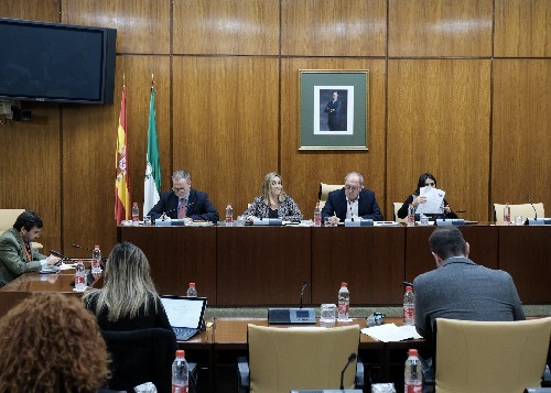  La Mesa de la Comisin de Fomento al inicio de la comparecencia de la consejera titular, Marifrn Carazo 