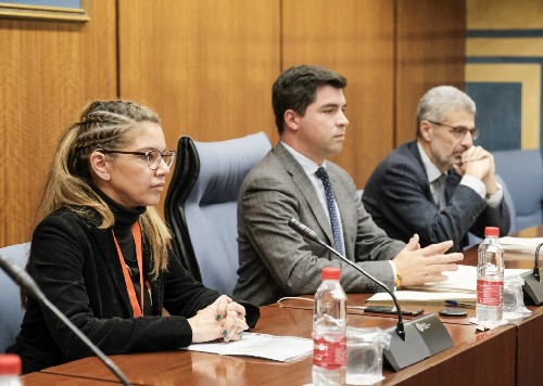 La segunda compareciente en la Comisin de Investigacin de la FAFFE, Noelia Ruiz, al inicio   