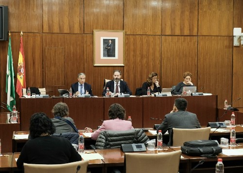 Vista de la Mesa y diputados de la Comisin de Presidencia durante la intervencin del consejero Bendodo 