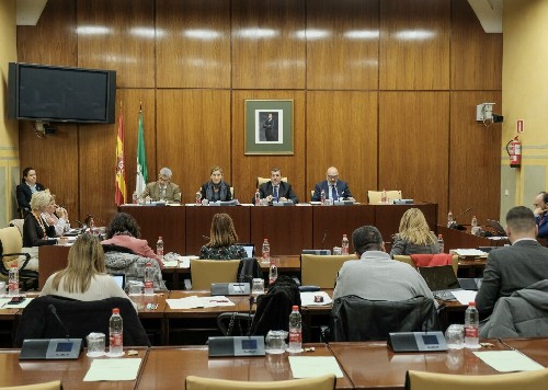 Imagen general de la Mesa y diputados de la Comisin de Empleo y de la consejera Roco Blanco 