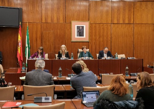 Vista de la Mesa de la Comisin de Cultura y los diputados al inicio de la intervencin de la consejera 