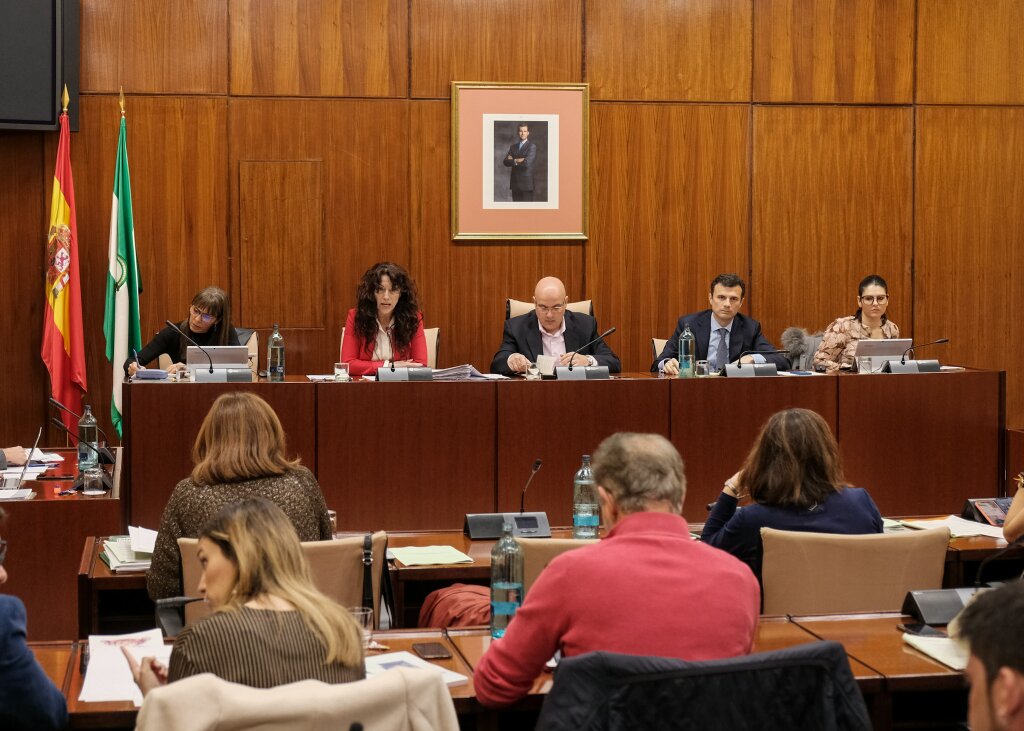 La Mesa de la Comisin de Igualdad durante la comparecencia de la consejera Roco Ruiz 