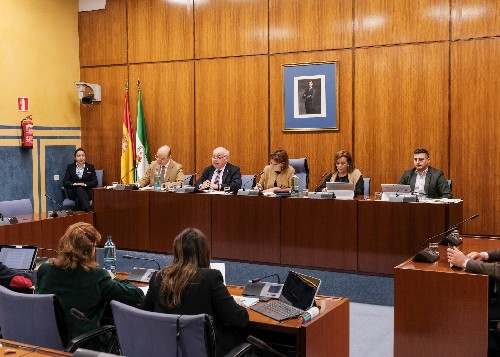 La Mesa de la Comisin de Salud y Familias durante la comparecencia del consejero Aguirre