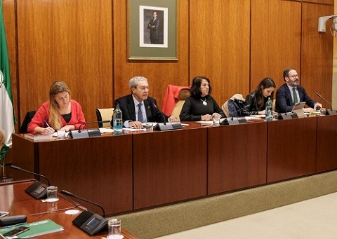   La Mesa de la Comisin de Economa, Conocimiento, Empresas y Universidad durante la comparecencia del consejero Rogelio Velasco