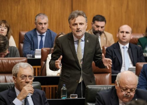  Jos Fiscal, portavoz del Grupo Socialista, formula su pregunta al presidente de la Junta de Andaluca 