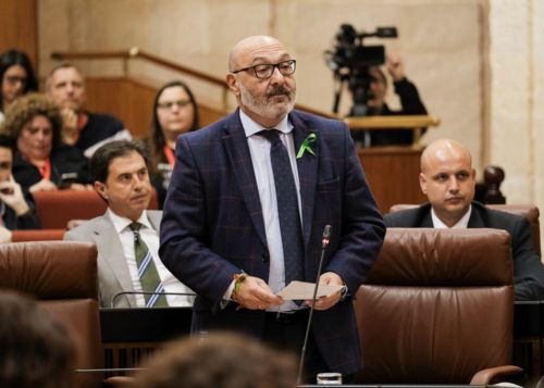  Alejandro Hernndez, portavoz de Vox, formula su pregunta al presidente de la Junta de Andaluca