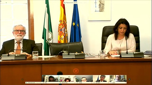 Imagen del desarrollo de la sesin telemtica de la Diputacin Permanente, en la que la presidenta Marta Bosquet, acompaada por el letrado mayor, cede la palabra a uno de los intervinientes