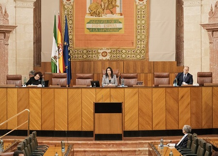   Imagen de la presidenta del Parlamento, Marta Bosquet; la vicepresidenta segunda, Teresa Jimnez, y el vicepresidente tercero, Julio Daz, al inicio de la sesin 