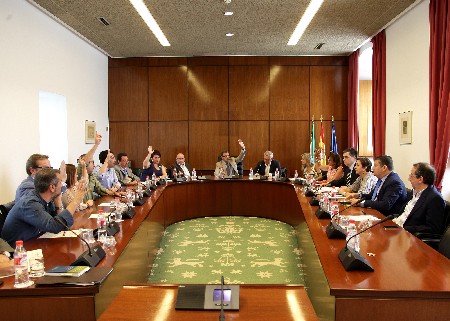 La Diputación Permanente, en su reunión de hoy
