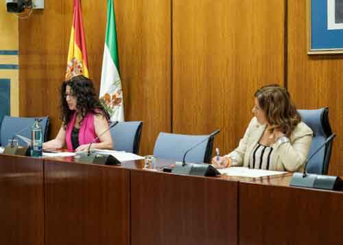  La consejera Roco Ruiz interviene en presencia de la nueva presidenta de la Comisin de Igualdad, Polticas Sociales y Conciliacin, Mara del Mar Hormigo, elegida al inicio de la sesin