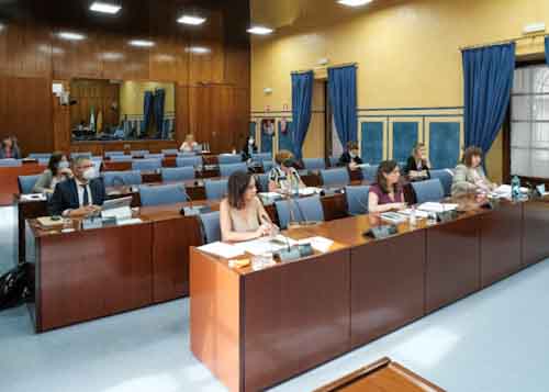  Diputados de la Comisin de Igualdad asisten a la comparecencia de la consejera