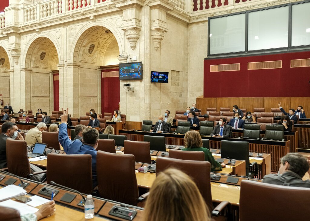  Imagen del Pleno durante la votacin de la proposicin de ley 