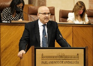    El diputado del Grupo Ciudadanos Ral Fernndez, durante el debate de convalidacin del decreto ley