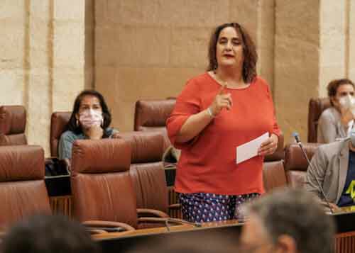 La portavoz de Adelante, ngela Aguilera, se dirige al presidente de la Junta para preguntar sobre corresponsabilidad social y conciliacin en Andaluca 