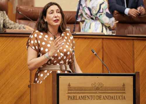 Mara Dolores Lpez, presidenta del Grupo Popular, expone la PNLP relativa a reclamacin al Gobierno de Espaa de medidas para el mantenimiento del empleo y la proteccin de las personas trabajadoras

 