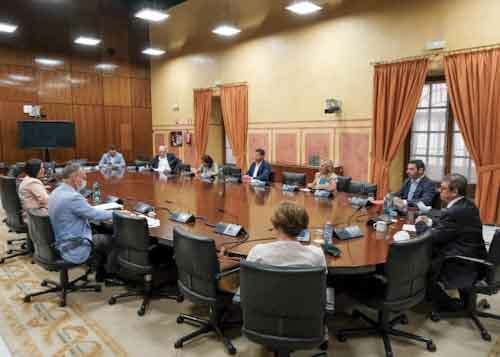 Grupo de Trabajo para cooperar en la conformacin de la posicin de Andaluca en el actual proceso de reforma poltica agrcola comn (PAC POST 2020) 