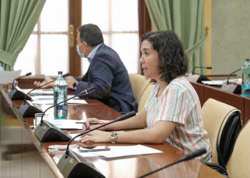 Noelia Ruiz, del Grupo Socialista, argumenta su proposicin no de ley 