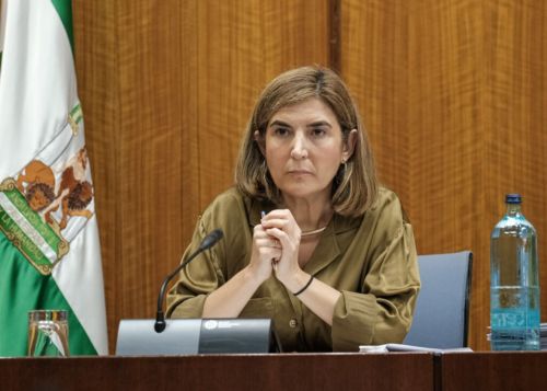  Roco Blanco, consejera de Empleo, Formacin y Trabajo Autnomo, comparece en comisin parlamentaria