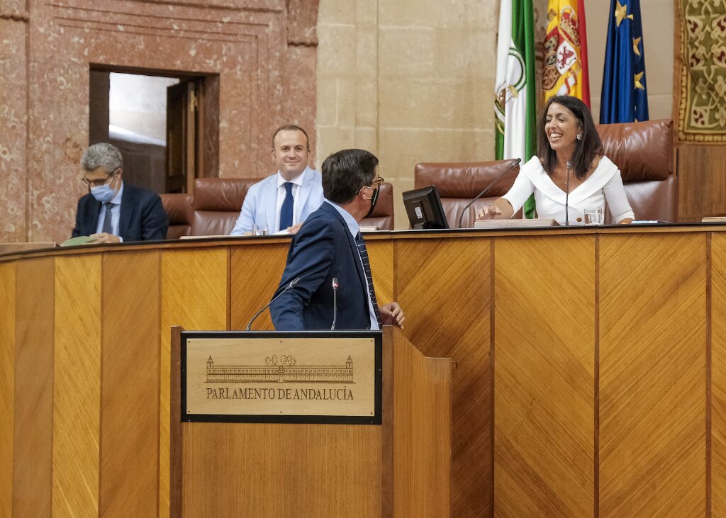 El vicepresidente de la Junta de Andaluca, Juan Marn, saluda a la Mesa de la Cmara antes de su intervencin 