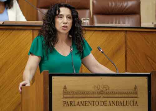 La consejera de Igualdad, Polticas Sociales y Conciliacin, Roco Ruiz, contesta a la interpelacin 