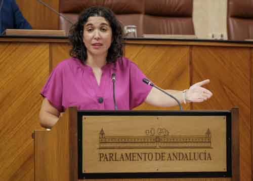 Por el Grupo Socialista, la diputada Noelia Ruiz defiende la proposicin no de ley relativa a medidas para la creacin y el mantenimiento del empleo en Andaluca ante la actual situacin de crisis sanitaria 